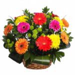 Basket of colored gerberas No. 56