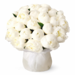 Букет голландских пионов 19 штук