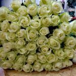 Біла троянда 75 штук