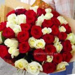 51 rose mix white + red Holland