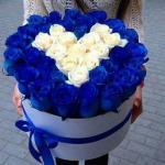 Blue and white roses in a box 