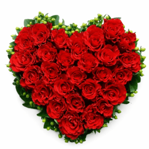 Сердце из красных роз 27 штук
