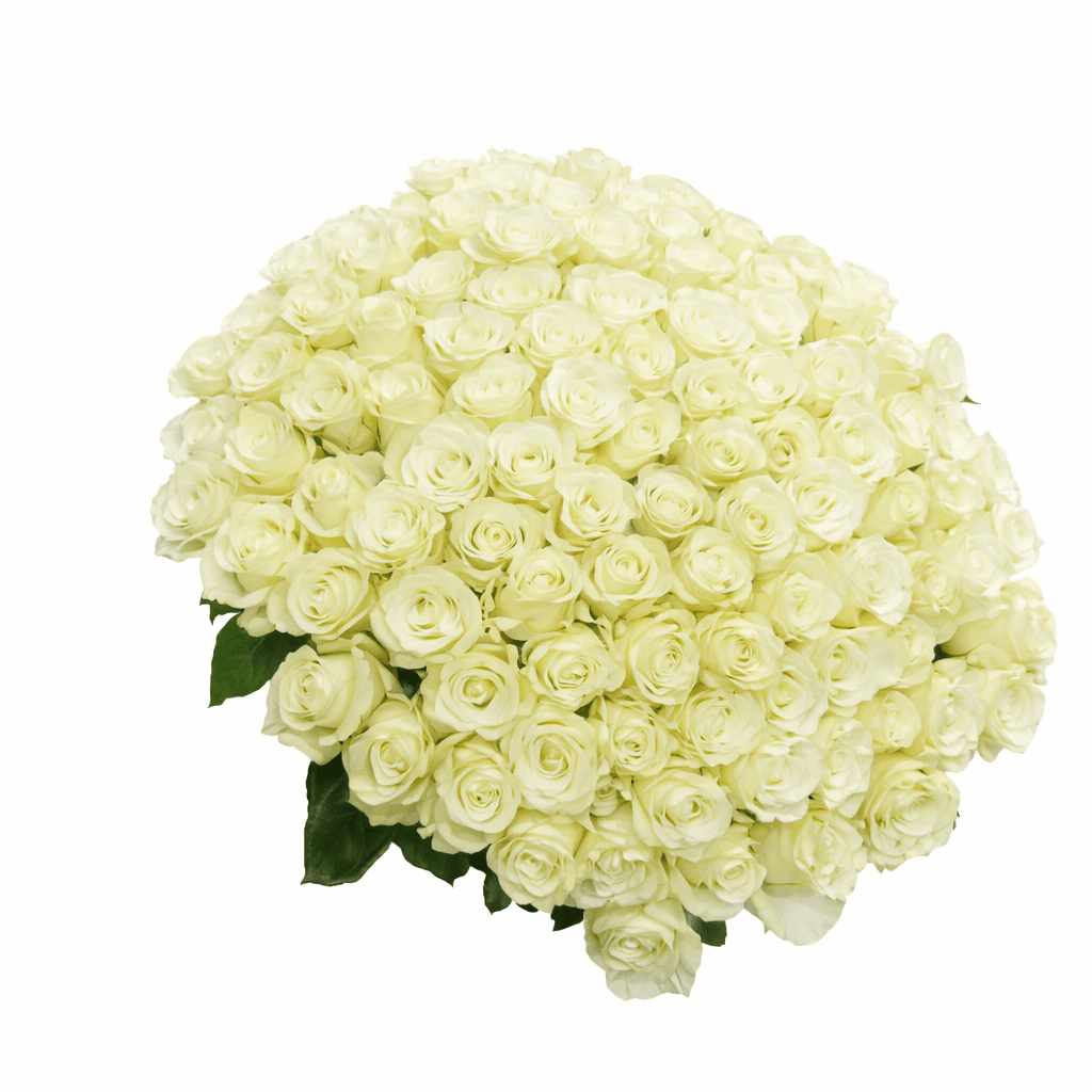 Букет 101 белая роза Эквадор Букет 101 белая роза Эквадор