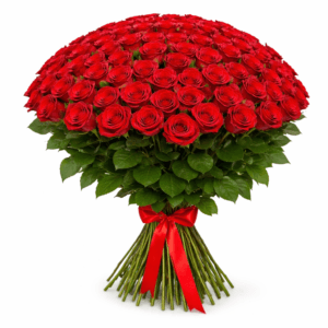 Красная роза 75 штук