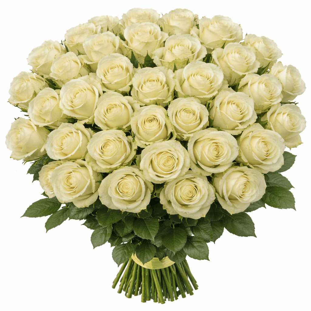 Белая роза 75 штук Белая роза 75 штук