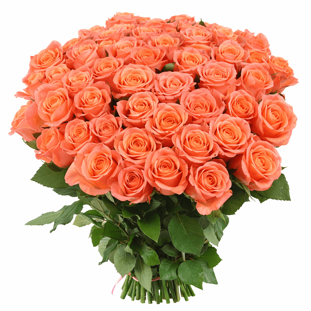 Букет роз 3D 35 штук Букет роз 3D 35 штук