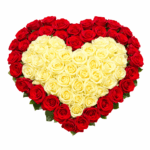 101 роза в форме сердца