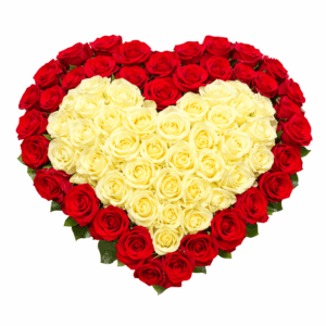 101 роза в форме сердца