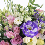 Букет Эустома 25 веток