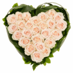 Сердце из кремовых роз 25 штук