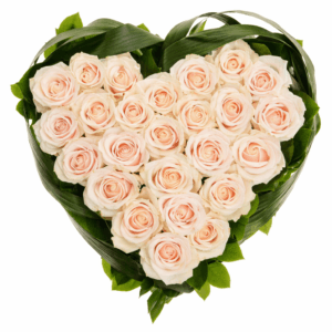 Сердце из кремовых роз 25 штук