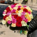 51 троянда мікс біла + червона + жовта + рожева