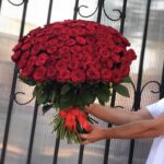 101 Rose grade Grand Prix