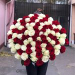 Red and white mix of 101 roses