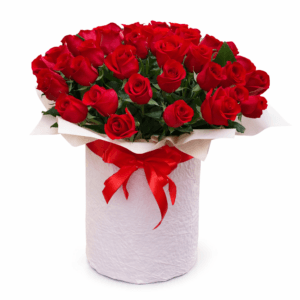 51 Роза Фридом в гигантской коробке