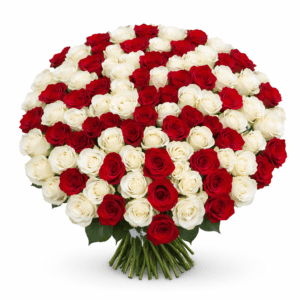 Красно-белый микс из 101 розы