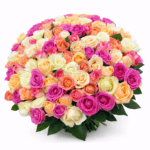 Яркий микс из 101 розы