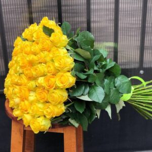 Желтые розы 55 шт