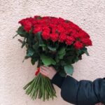 Beautiful Eltorro roses