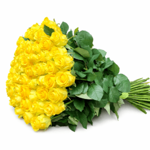 Желтые Пени Лэйн Penny Lane розы 55 шт