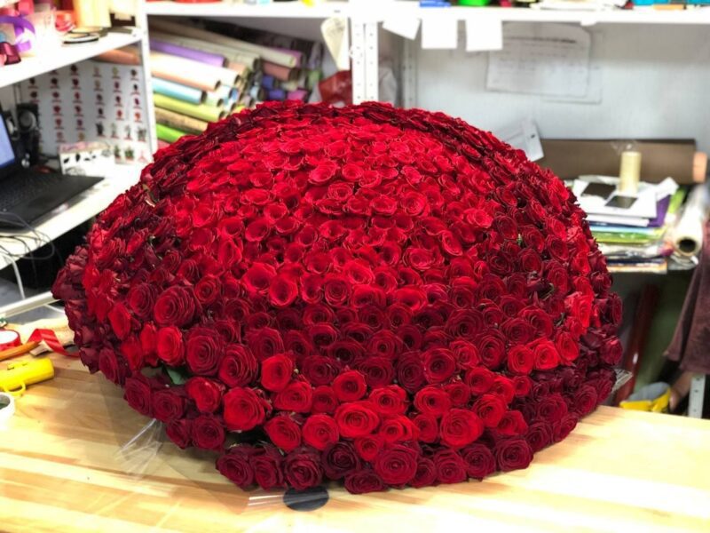 501 Red Roses Giant Bouquet of 501 Grand Prix Red Roses - Green Rose