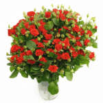 Красная спрей роза 21шт