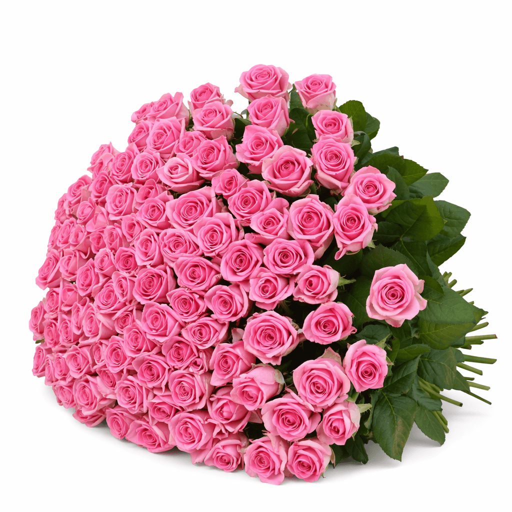 Букет 101 розовая роза Букет 101 розовая роза