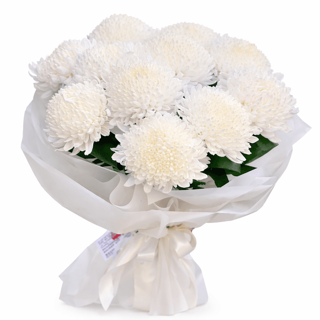 Букет 11 белых пышных хризантем Букет 11 белых пышных хризантем
