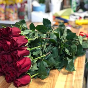 Эквадорская Роза красная 25 штук