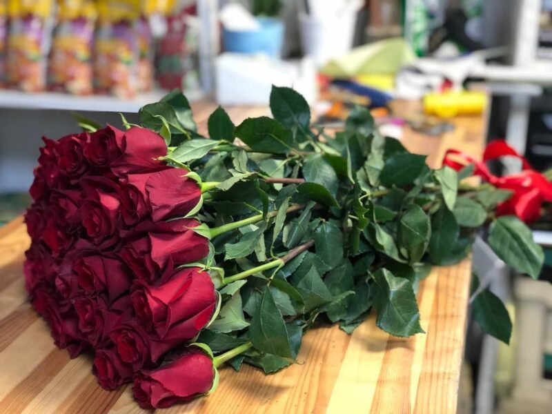 Эквадорская Роза красная 25 штук