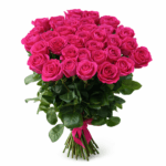Эквадорская Роза сорт Пинк Флоид 25 штук