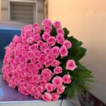 101 роза сорт Аква