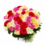 51 роза микс белая + красная + желтая + розовая
