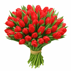 Букет 51 тюльпан красный