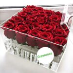 25 красных роз в аквабоксе