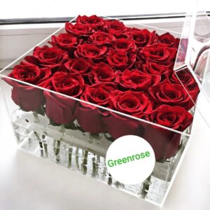 25 красных роз в аквабоксе