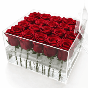 25 красных роз в аквабоксе