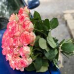 Роза Джумилия 25 шт