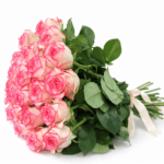 Букет роз Джумилия 25 штук