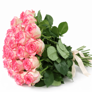 Букет роз Джумилия 25 штук