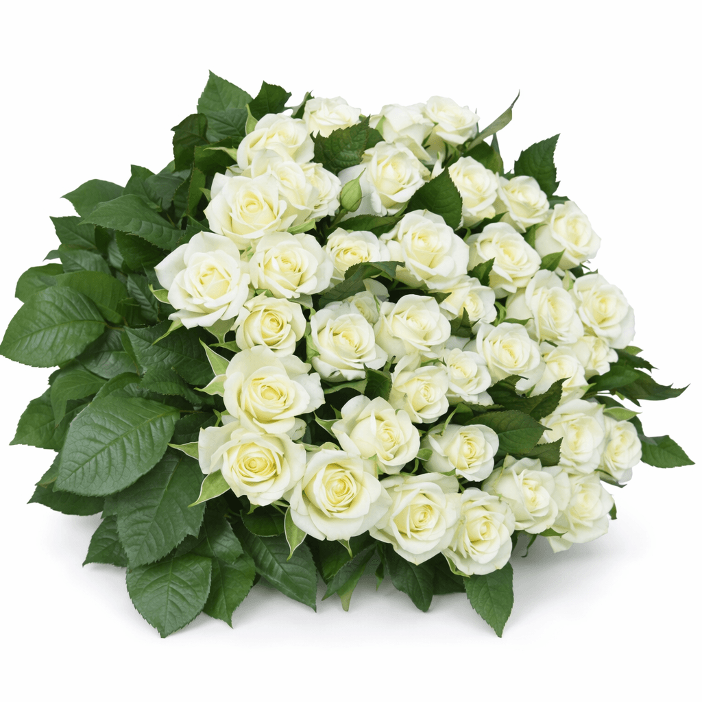 Роза Белуга 51 штука Роза Белуга 51 штука