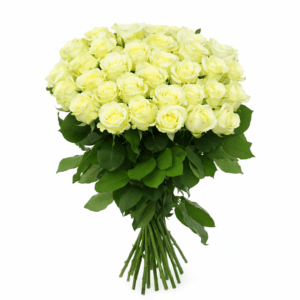 Эквадор 25 белых роз Mondial