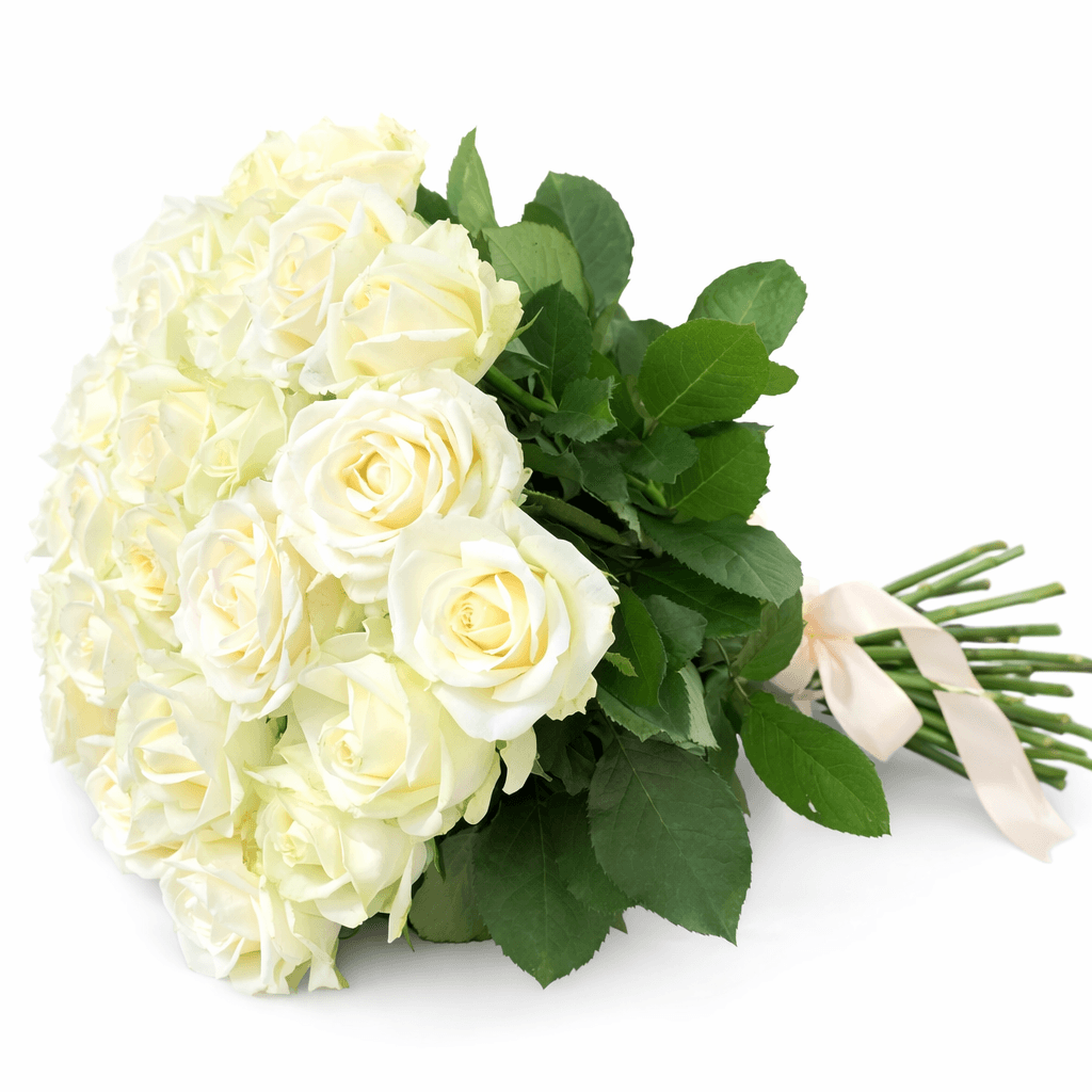 Персиковая роза Пич Аваланч 25 штук Персиковая роза Пич Аваланч 25 штук — изображение 1