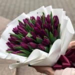 Пурпурный бархат