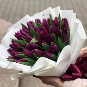 Пурпурный бархат