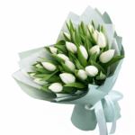 25 белых тюльпанов