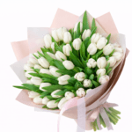 51 белый тюльпан