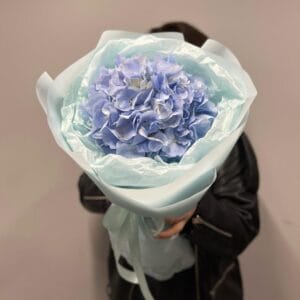 Person holding a large bouquet of blue hydrangeas wrapped in light blue paper.