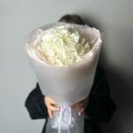 Person holding a large bouquet of white hydrangeas wrapped in pale pink paper.