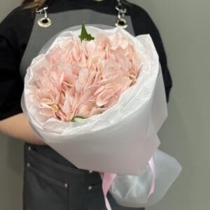 Bouquet of pale pink hydrangeas wrapped in white paper with a pink ribbon, held by a florist.